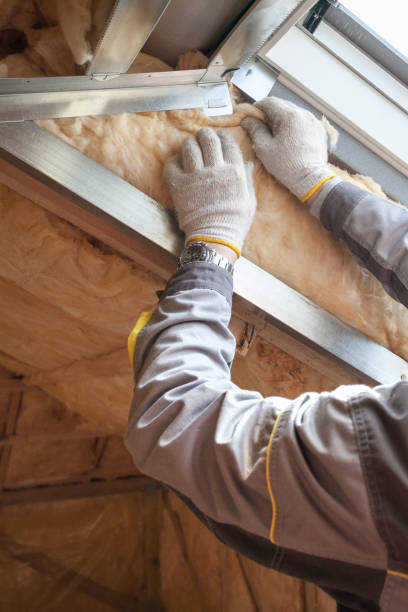 Professional Insulation in Grandy, NC