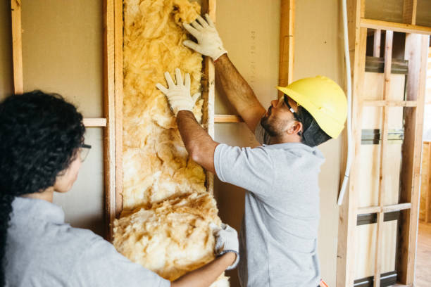 Best Insulation Air Sealing  in Grandy, NC